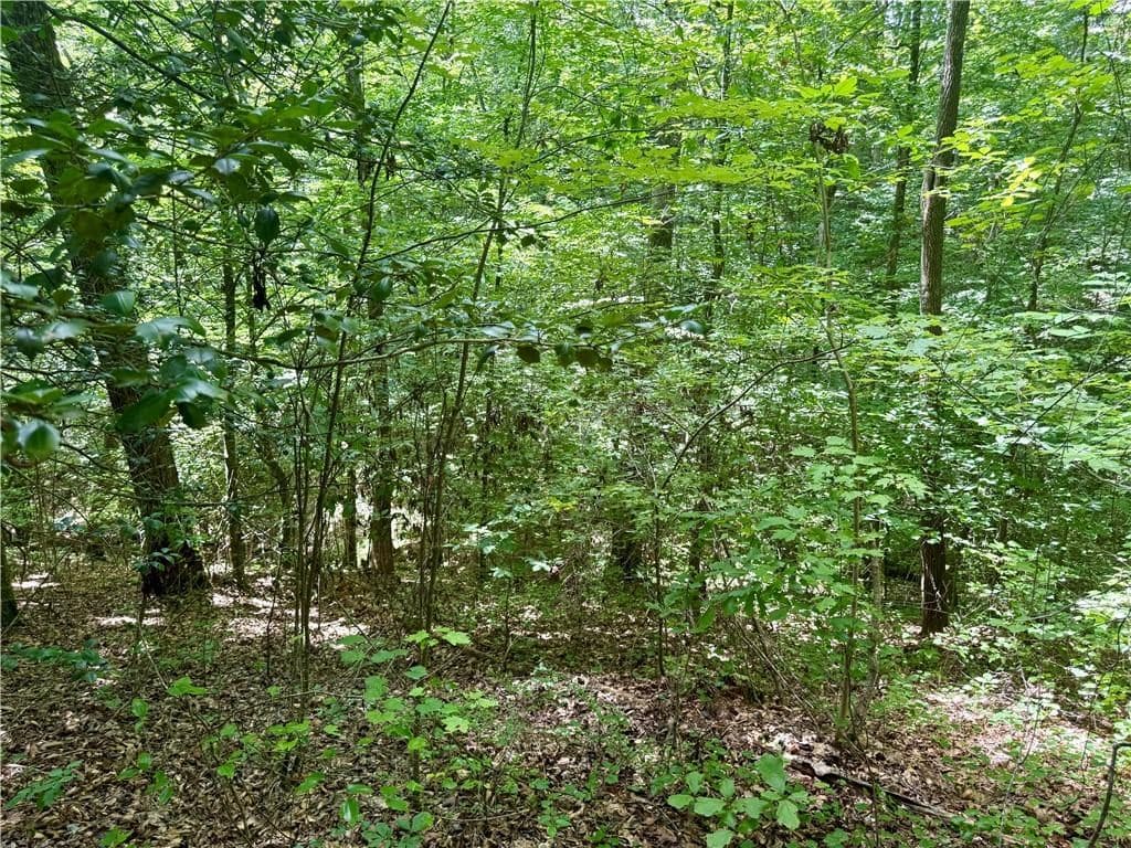 79 River Overlook Lane S, Ellijay GA 30540 - Photo