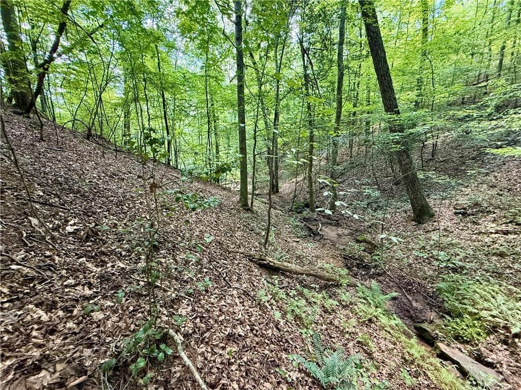 79 River Overlook Lane S, Ellijay GA 30540 - Photo