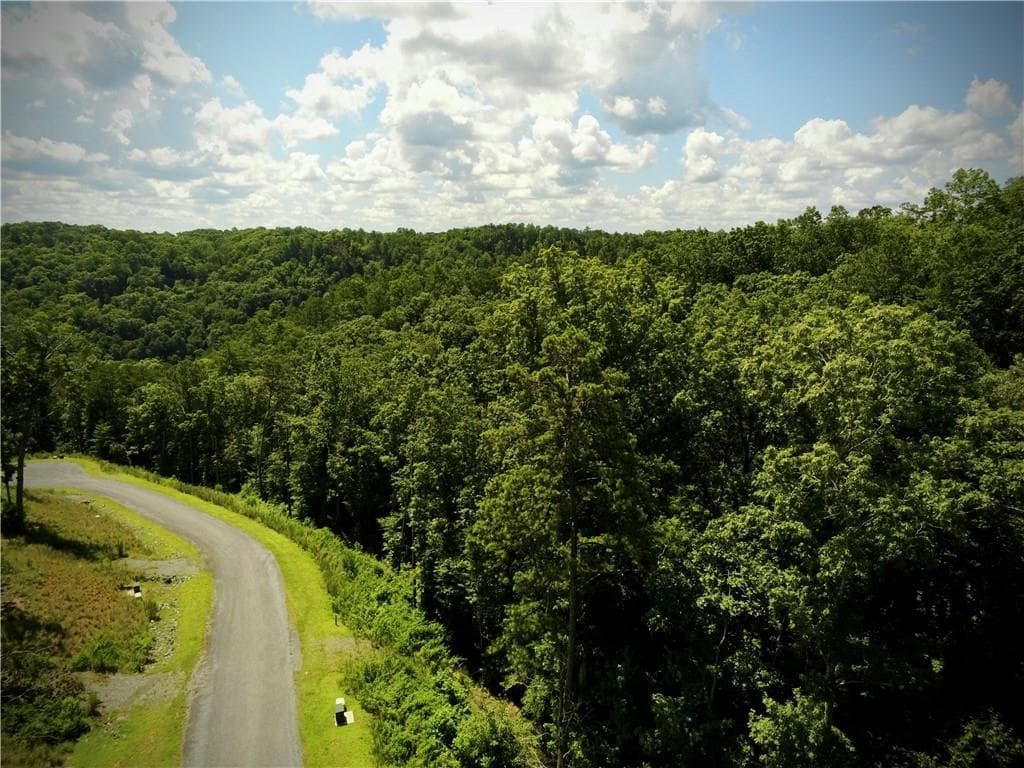 79 River Overlook Lane S, Ellijay GA 30540 - Primary photo