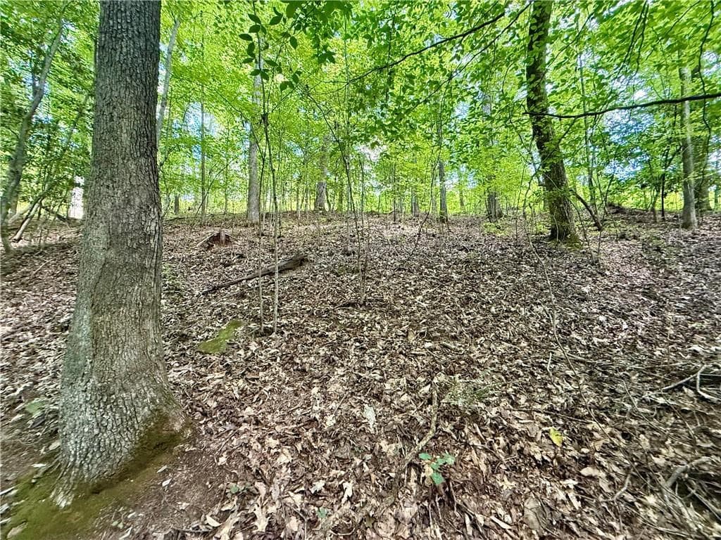 79 River Overlook Lane S, Ellijay GA 30540 - Photo