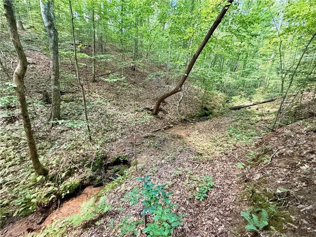 79 River Overlook Lane S, Ellijay GA 30540 - Photo
