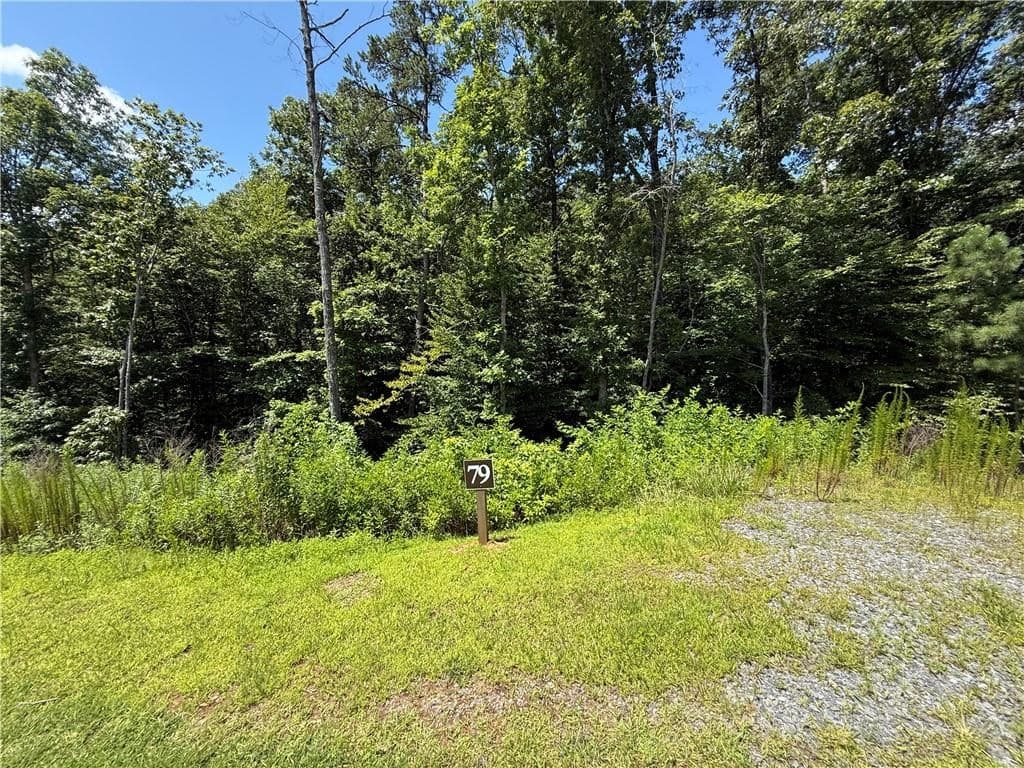 79 River Overlook Lane S, Ellijay GA 30540 - Photo