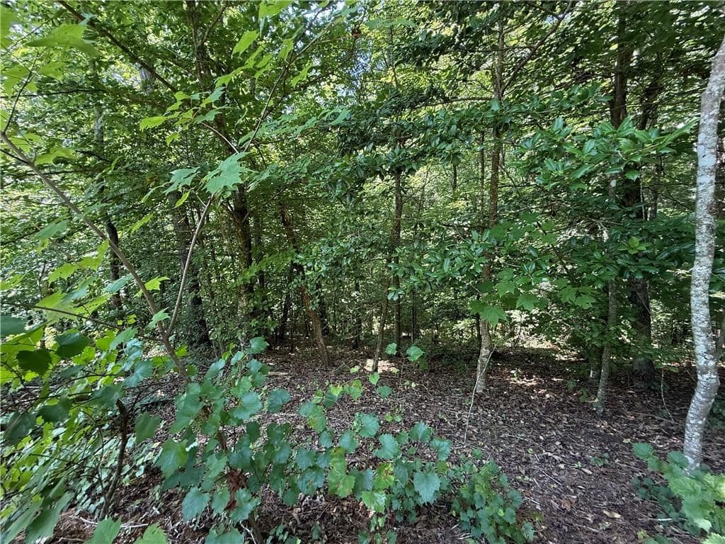 79 River Overlook Lane S, Ellijay GA 30540 - Photo