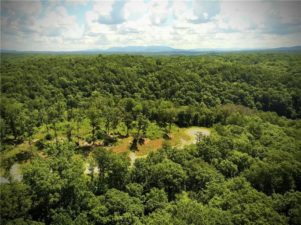 79 River Overlook Lane S, Ellijay GA 30540 - Photo