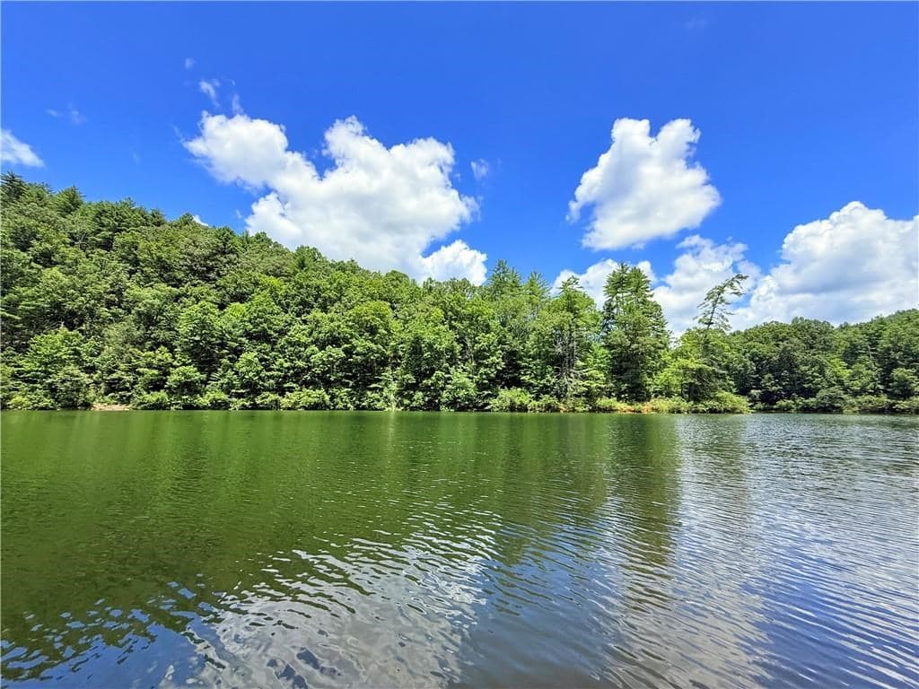 79 River Overlook Lane S, Ellijay GA 30540 - Photo
