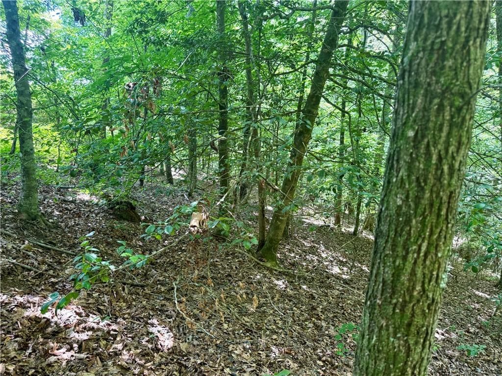 79 River Overlook Lane S, Ellijay GA 30540 - Photo