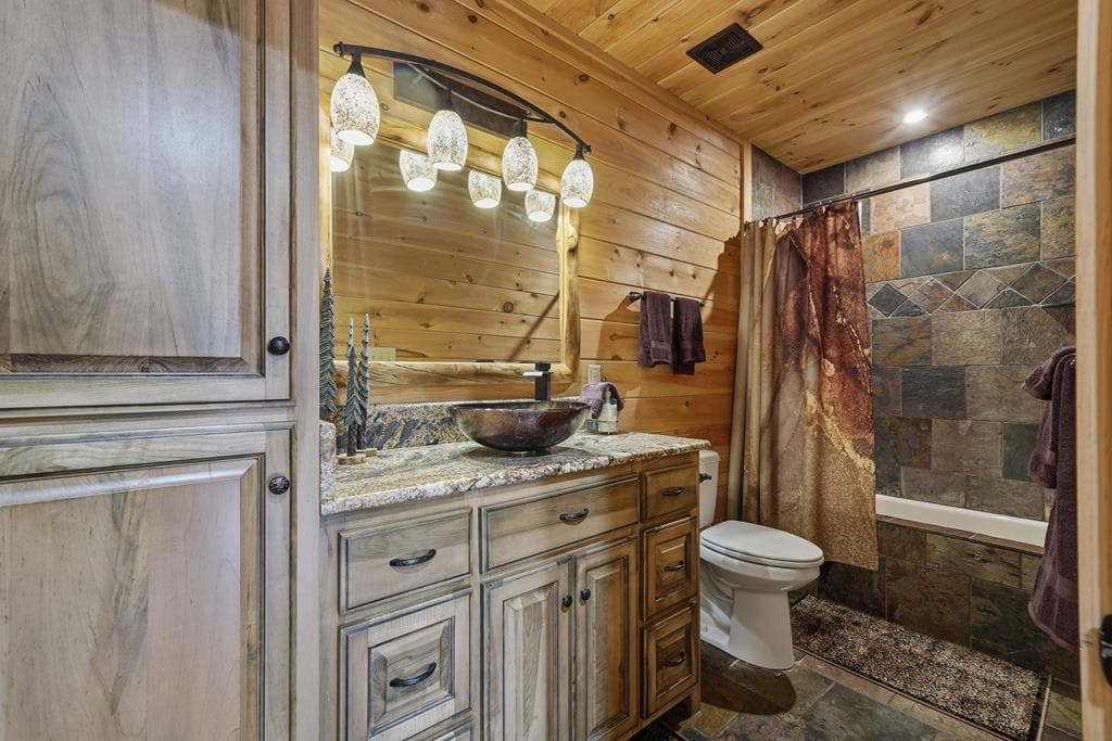 339 Birdseye View, Blue Ridge GA 30513 - Photo