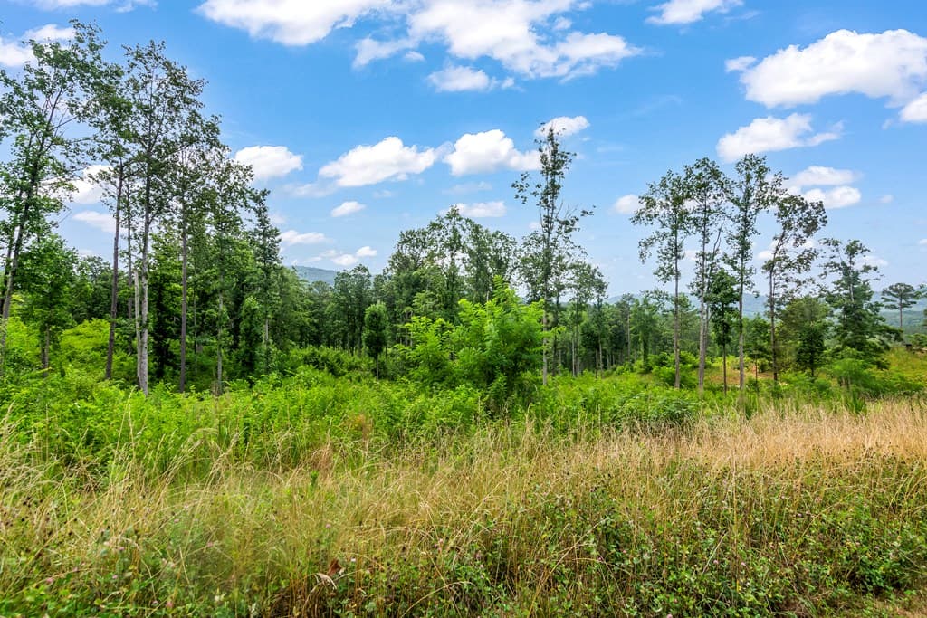 Lot 128 Twisted Oak Road, Talking Rock GA 30175 - Photo