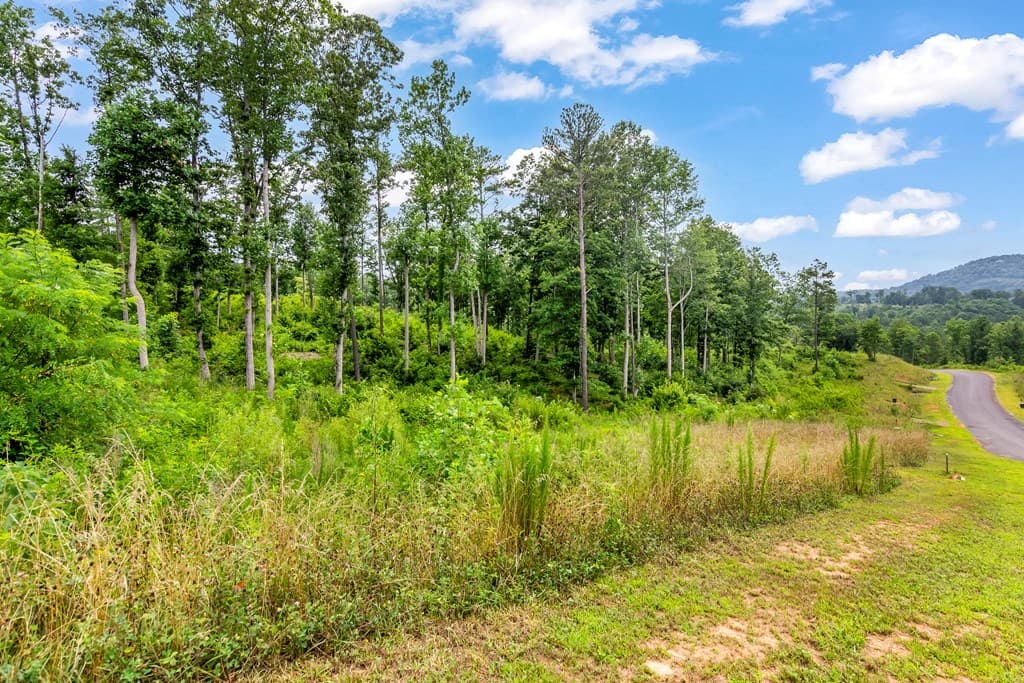 Lot 128 Twisted Oak Road, Talking Rock GA 30175 - Photo