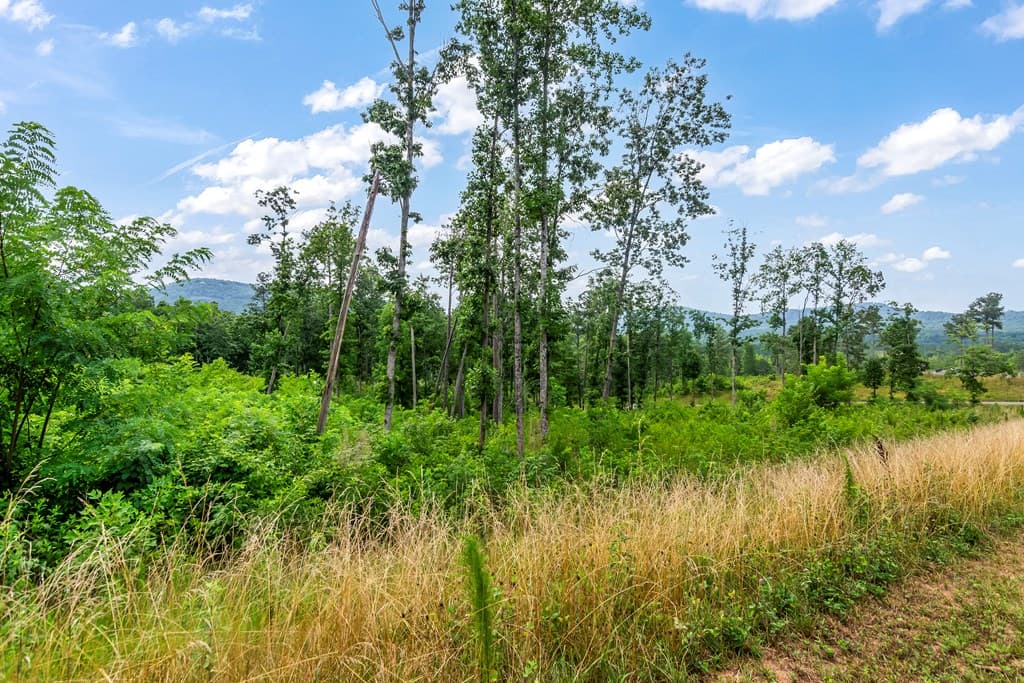 Lot 128 Twisted Oak Road, Talking Rock GA 30175 - Photo