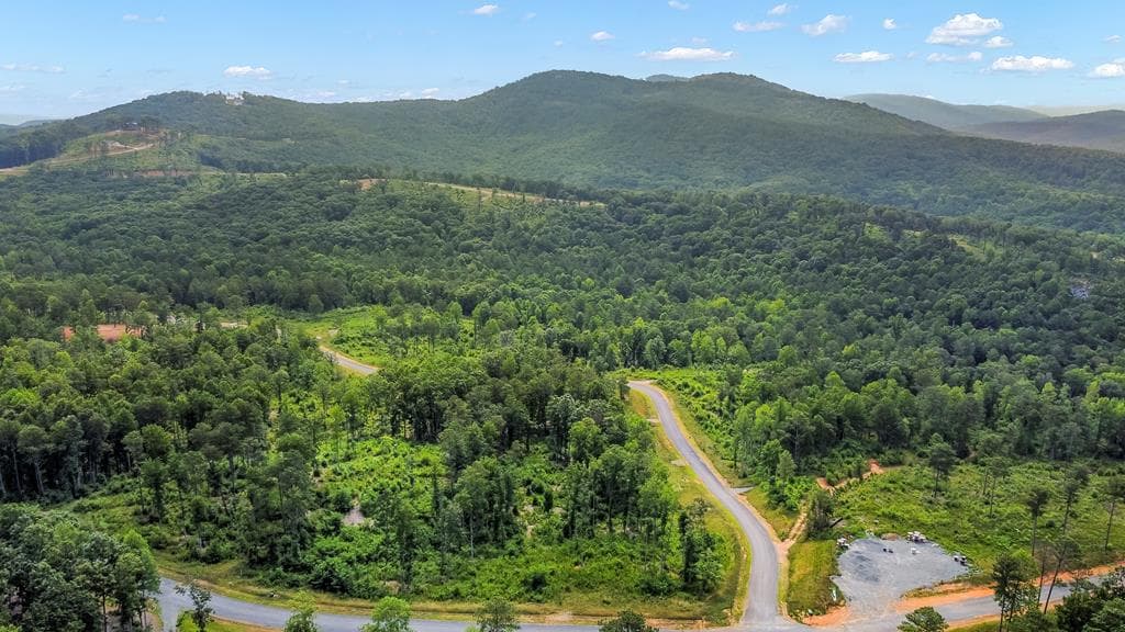 Lot 128 Twisted Oak Road, Talking Rock GA 30175 - Primary photo
