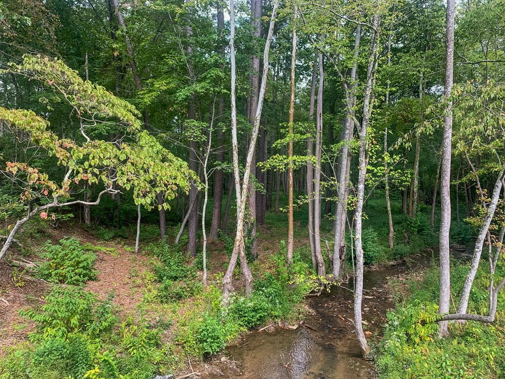Lot 128 Twisted Oak Road, Talking Rock GA 30175 - Photo