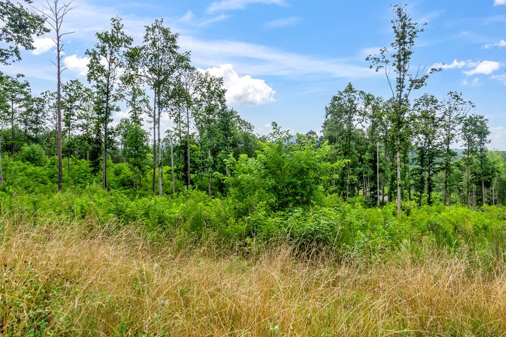 Lot 128 Twisted Oak Road, Talking Rock GA 30175 - Photo