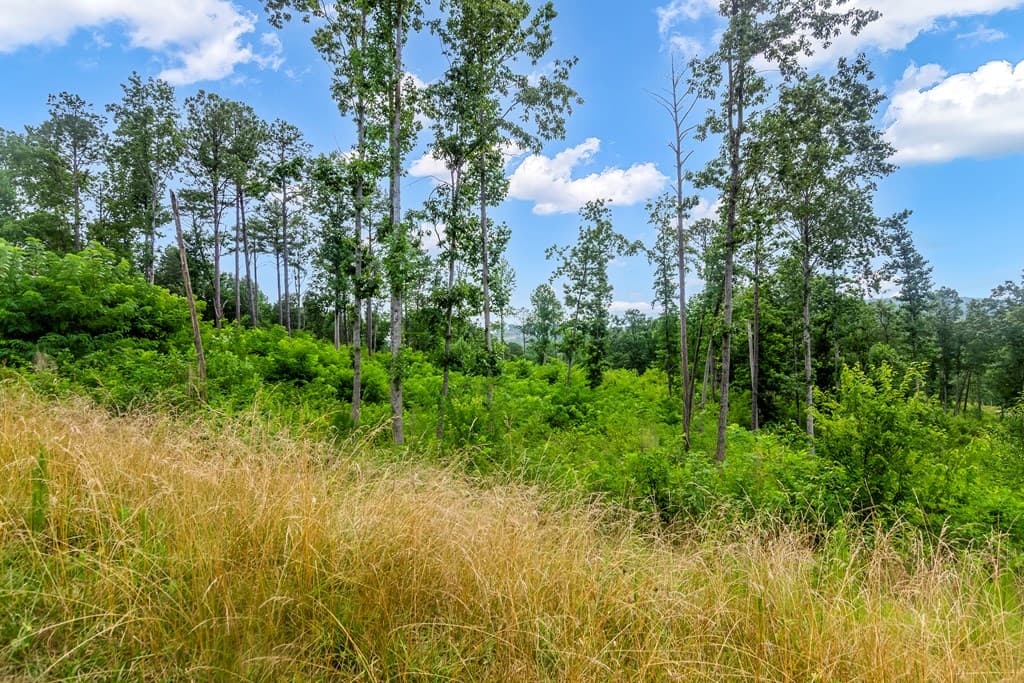 Lot 128 Twisted Oak Road, Talking Rock GA 30175 - Photo