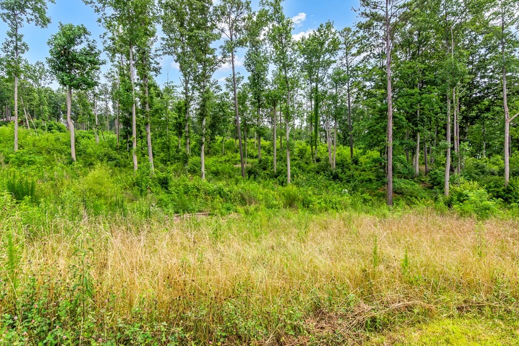 Lot 128 Twisted Oak Road, Talking Rock GA 30175 - Photo