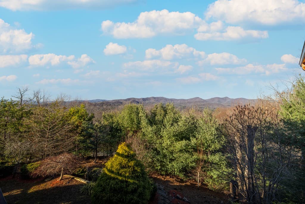 1359 Mountain High Drive, Mineral Bluff GA 30559 - Photo