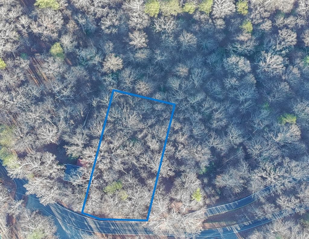 Lot 476 Riverview Drive, Ellijay GA 30540 - Photo