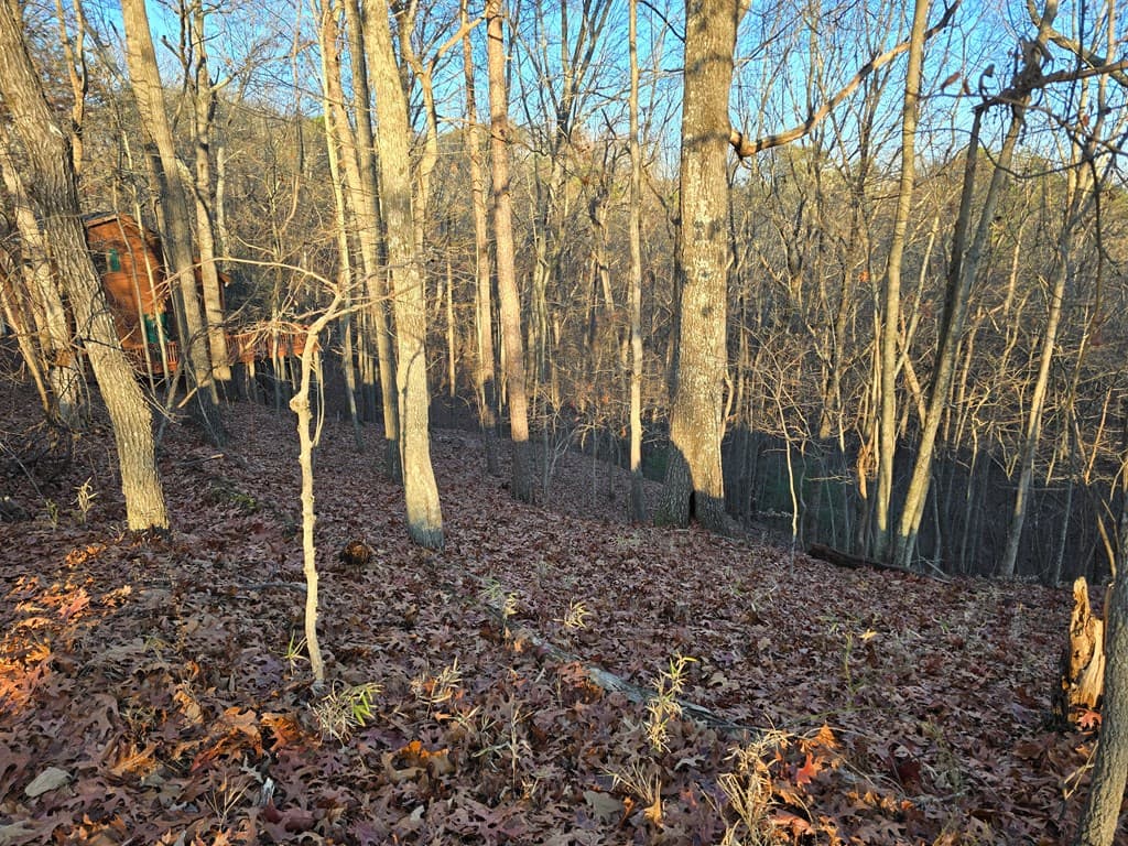 Lot 476 Riverview Drive, Ellijay GA 30540 - Photo