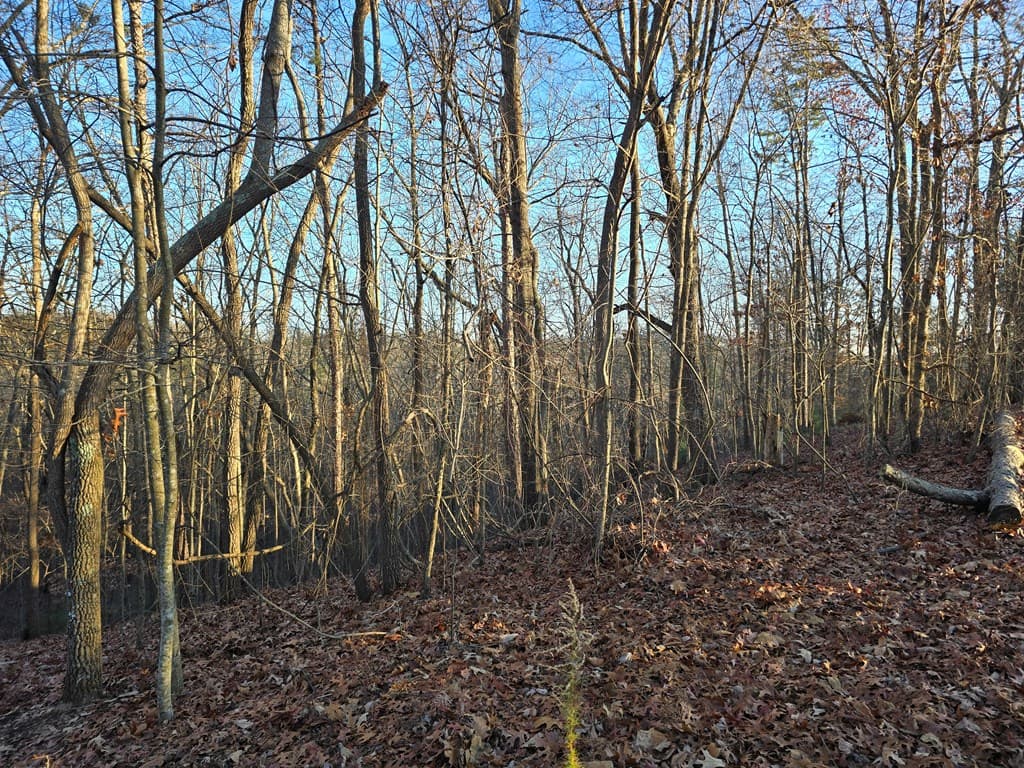 Lot 476 Riverview Drive, Ellijay GA 30540 - Photo