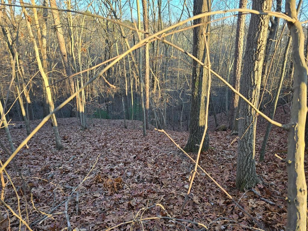 Lot 476 Riverview Drive, Ellijay GA 30540 - Photo