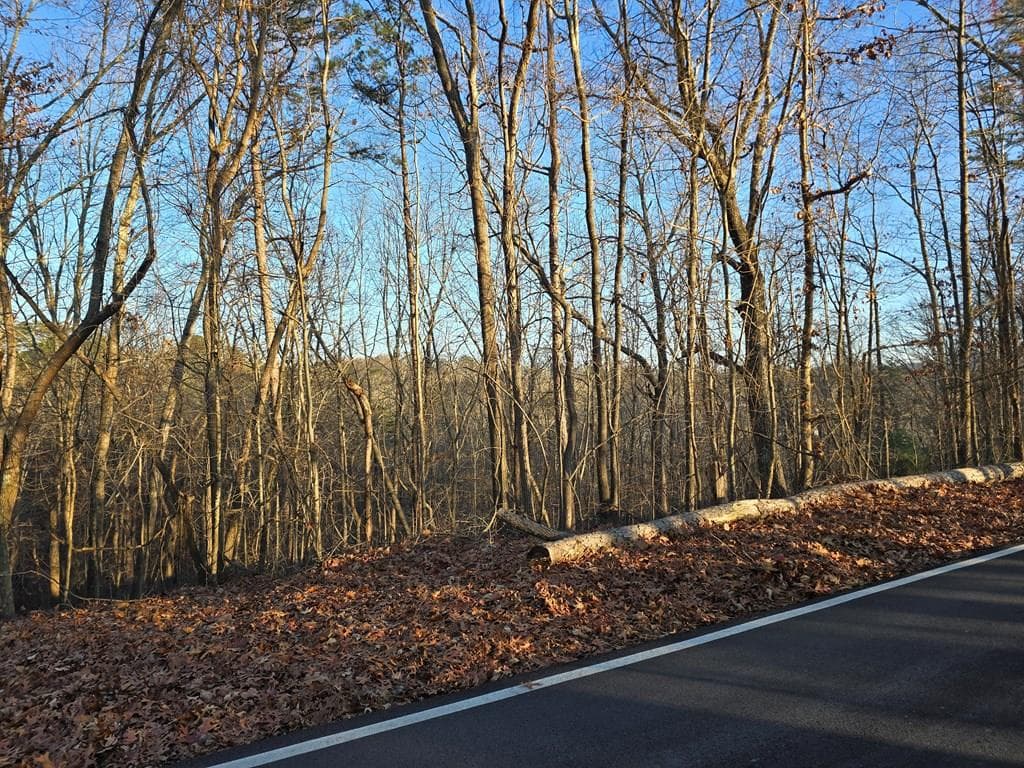 Lot 476 Riverview Drive, Ellijay GA 30540 - Primary photo