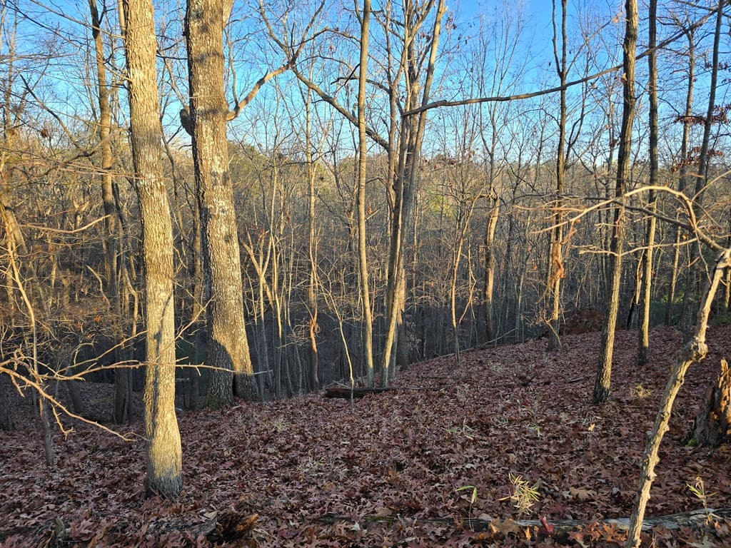 Lot 476 Riverview Drive, Ellijay GA 30540 - Photo