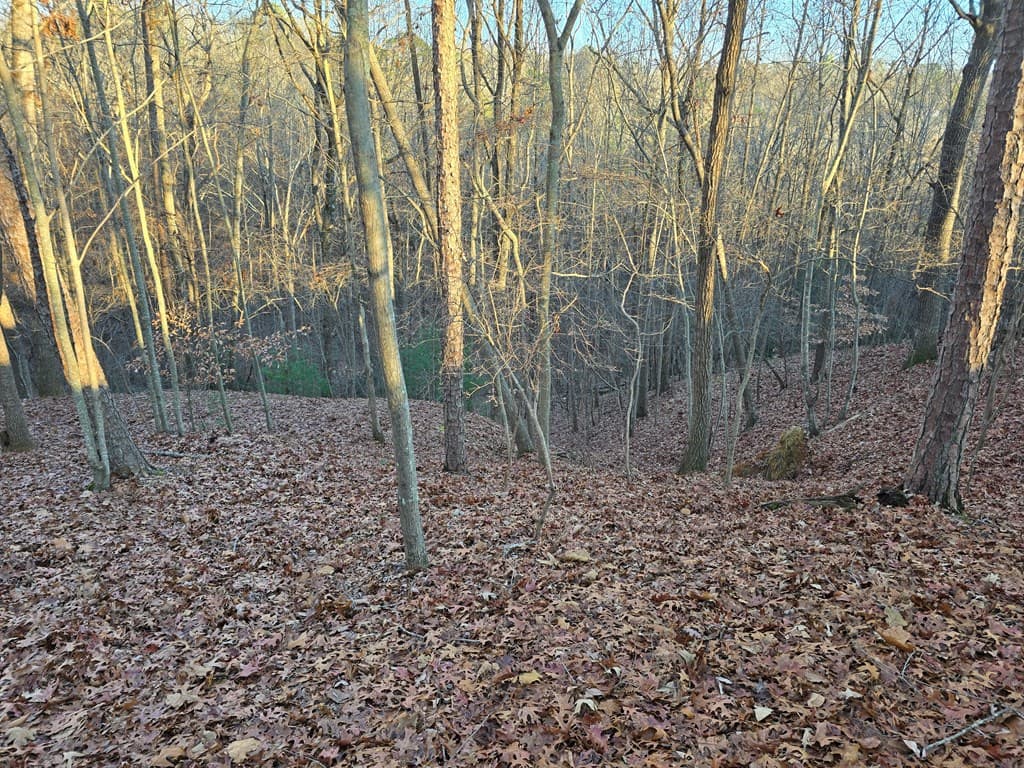 Lot 476 Riverview Drive, Ellijay GA 30540 - Photo