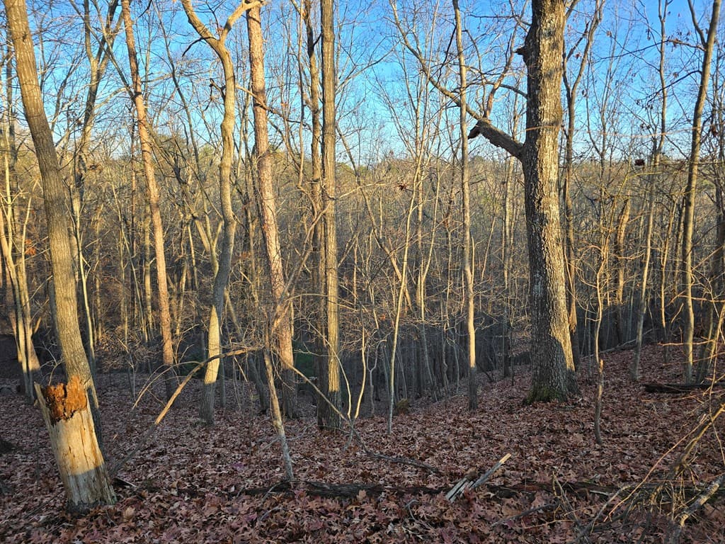 Lot 476 Riverview Drive, Ellijay GA 30540 - Photo