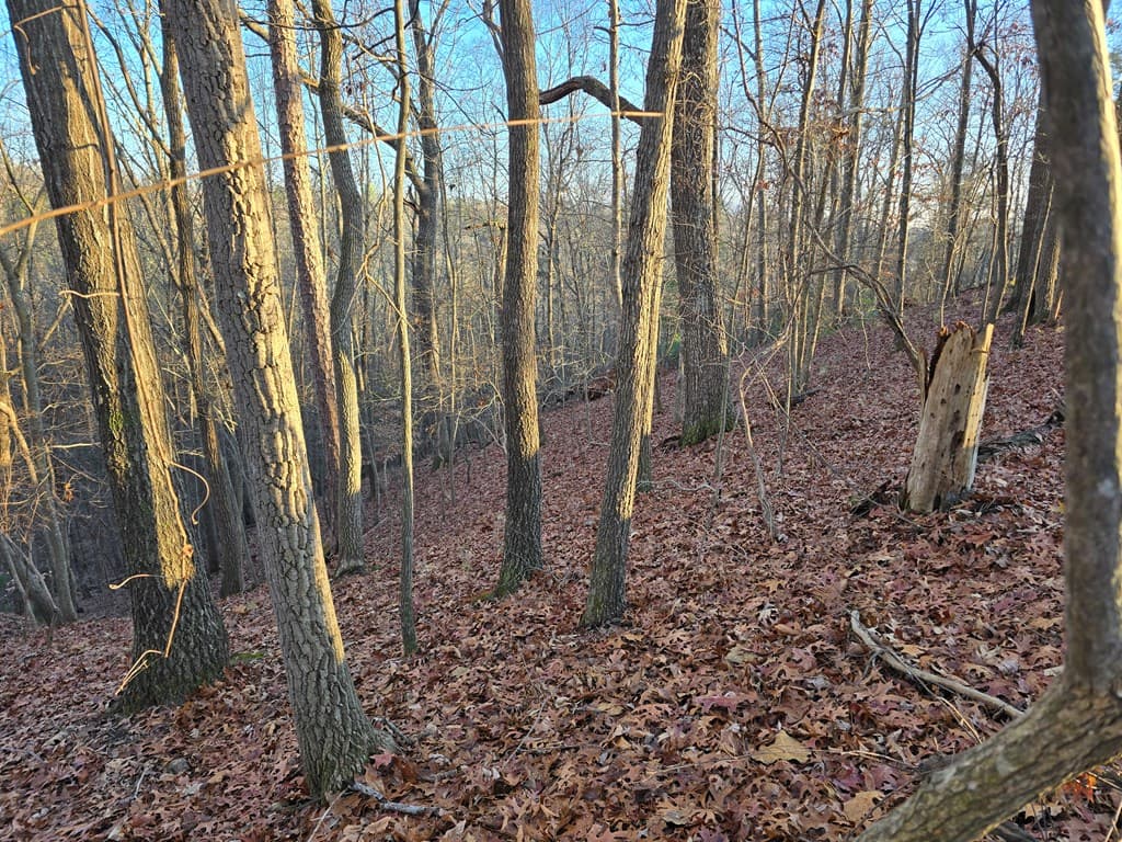 Lot 476 Riverview Drive, Ellijay GA 30540 - Photo