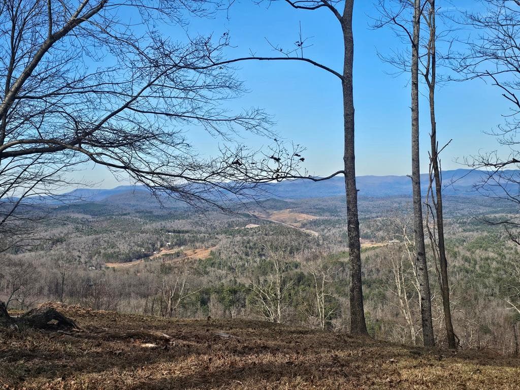 38 Trophy Buck Point, Murphy NC 28906 - Photo