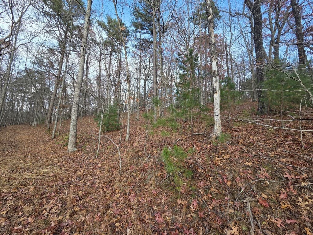 5 Fish Camp Way, Mineral Bluff GA 30559 - Photo
