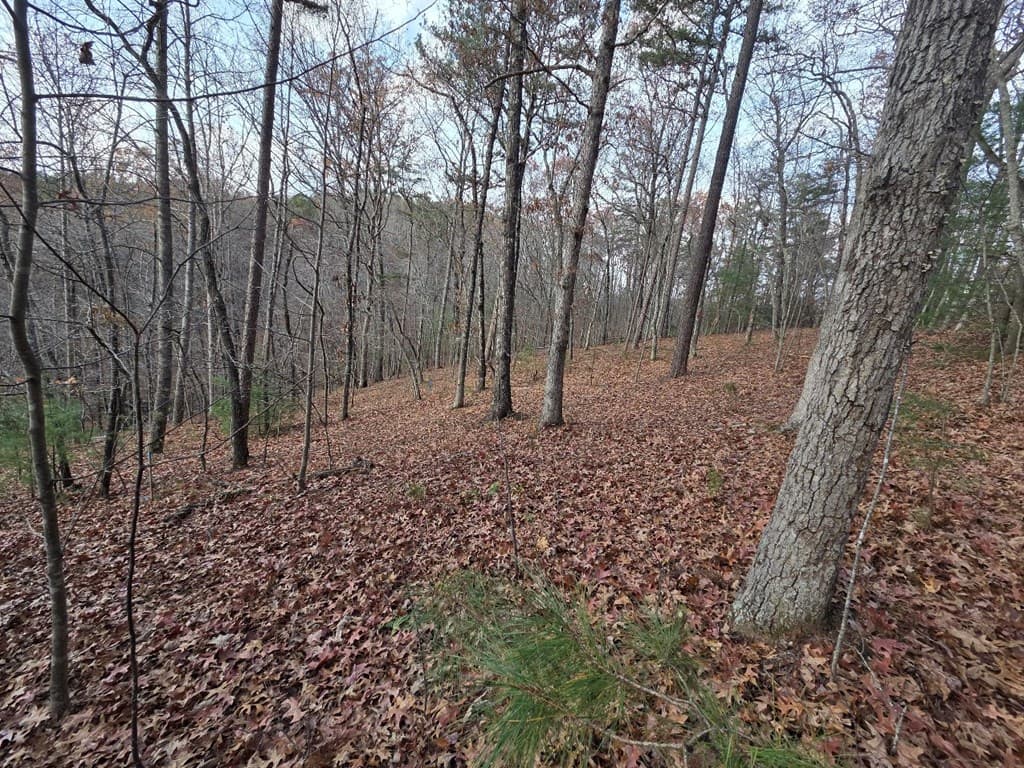 5 Fish Camp Way, Mineral Bluff GA 30559 - Photo