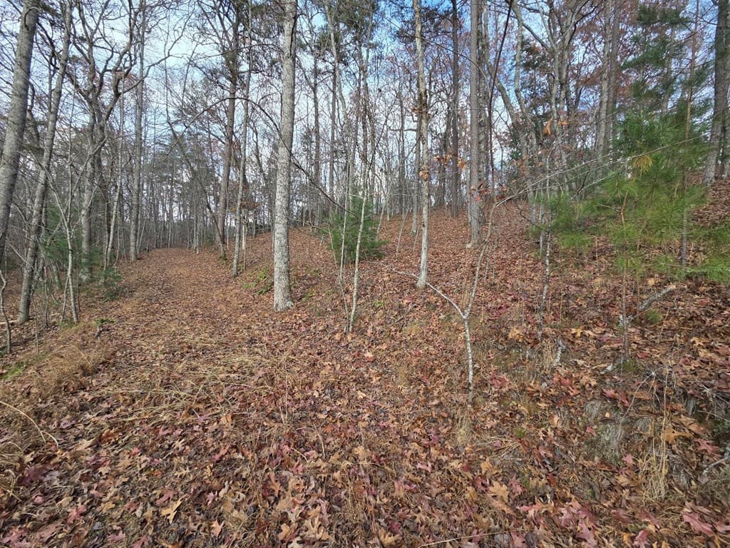 5 Fish Camp Way, Mineral Bluff GA 30559 - Photo