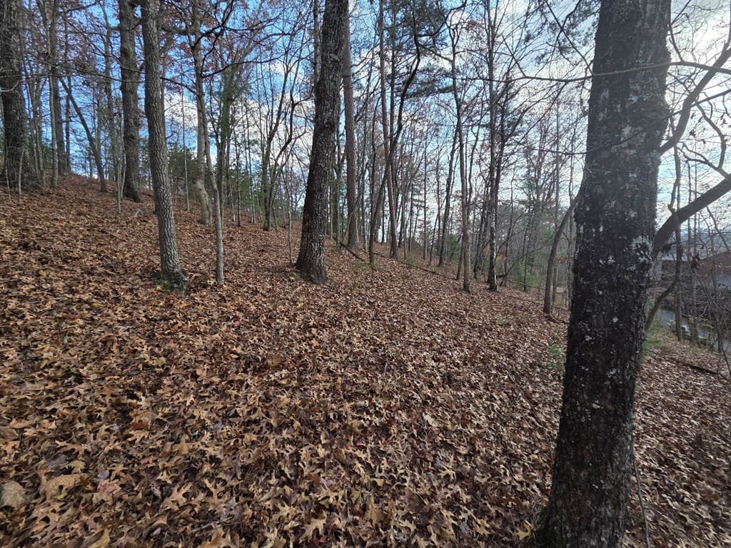 5 Fish Camp Way, Mineral Bluff GA 30559 - Photo