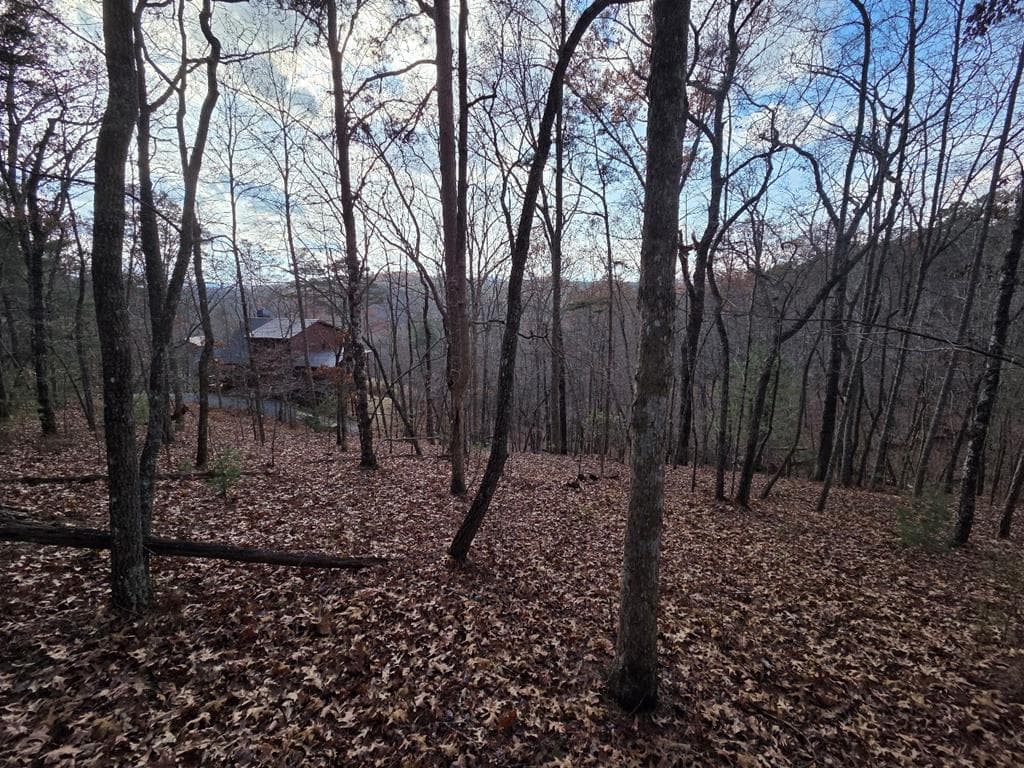 5 Fish Camp Way, Mineral Bluff GA 30559 - Primary photo