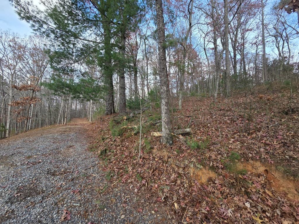 5 Fish Camp Way, Mineral Bluff GA 30559 - Photo