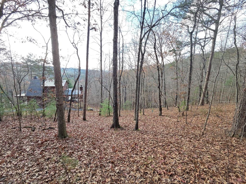 5 Fish Camp Way, Mineral Bluff GA 30559 - Photo
