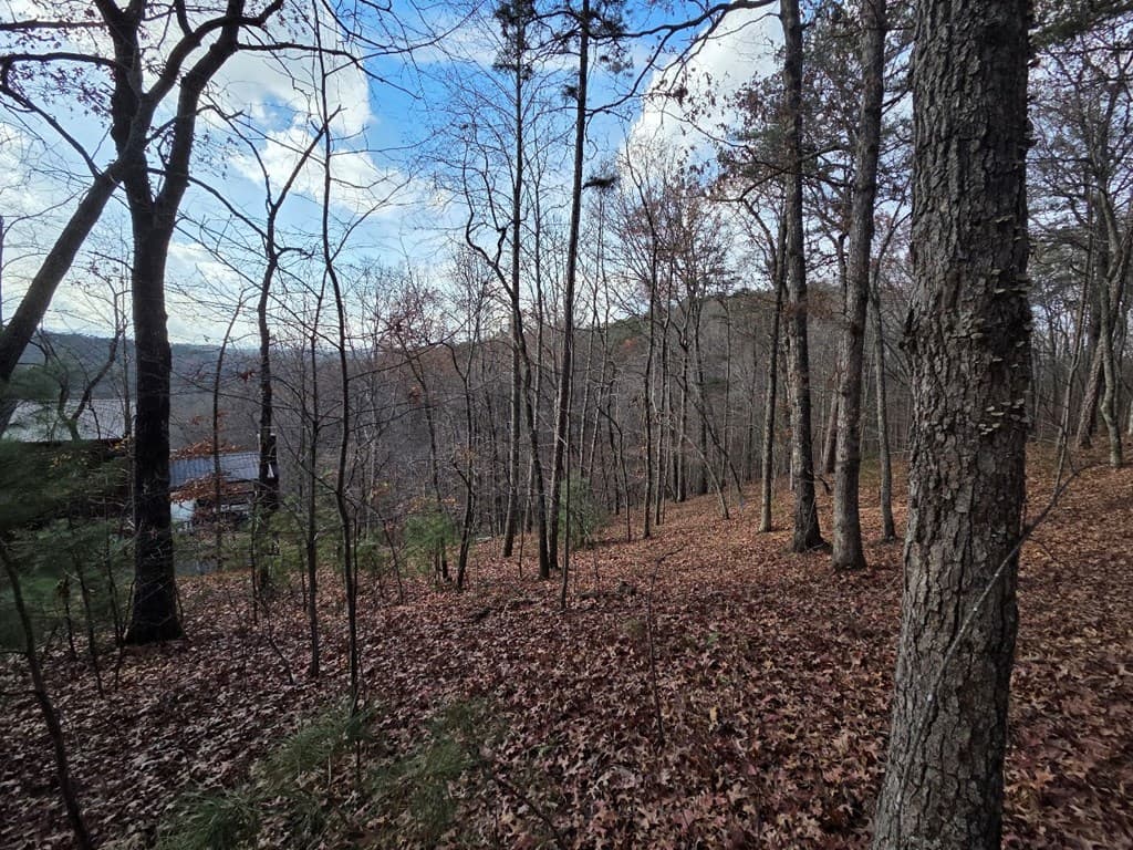 5 Fish Camp Way, Mineral Bluff GA 30559 - Photo
