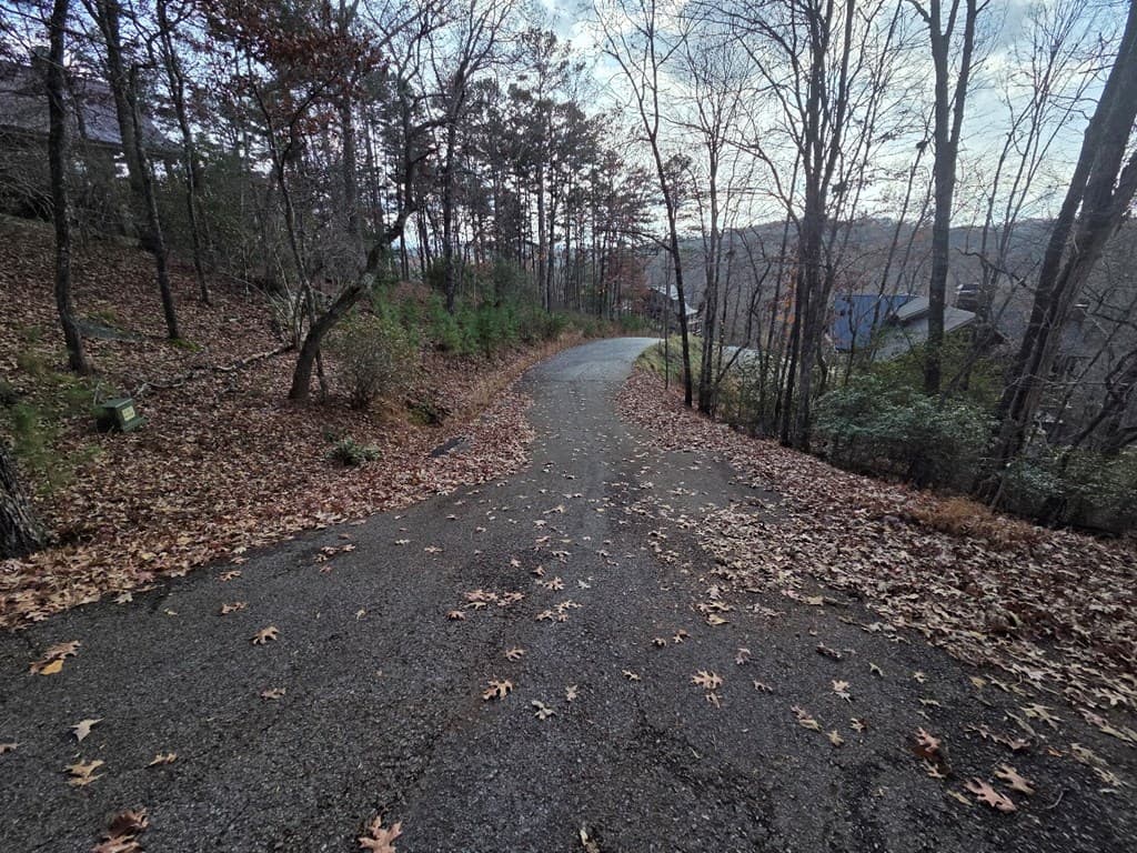 5 Fish Camp Way, Mineral Bluff GA 30559 - Photo