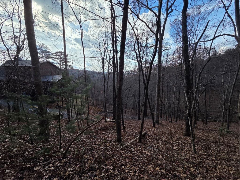 5 Fish Camp Way, Mineral Bluff GA 30559 - Photo