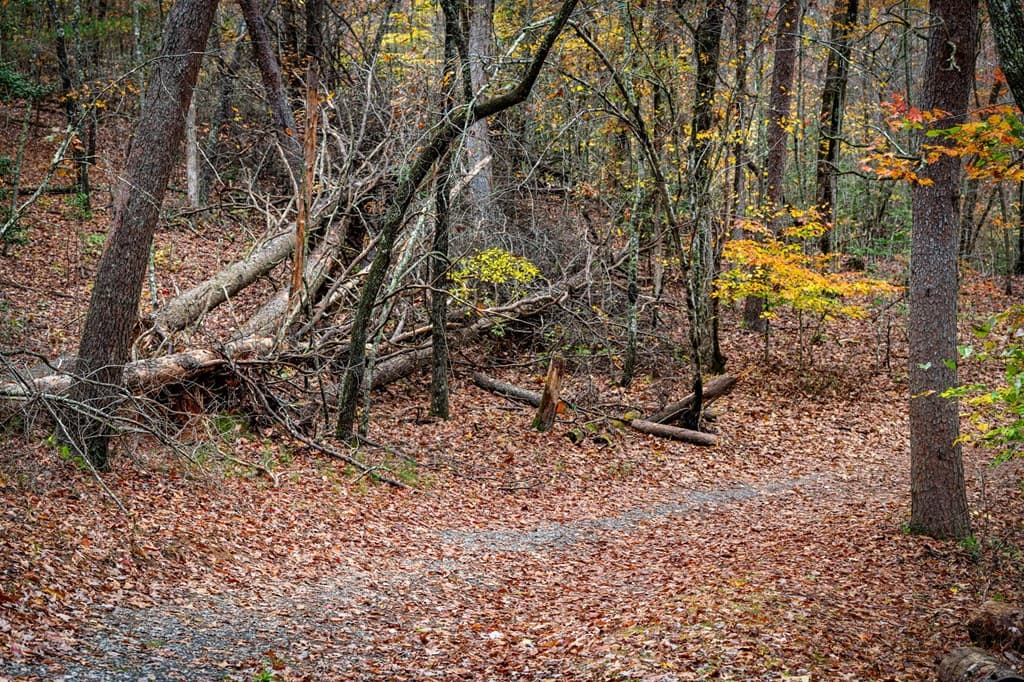 1580 Galloway Road, Blue Ridge GA 30513 - Photo