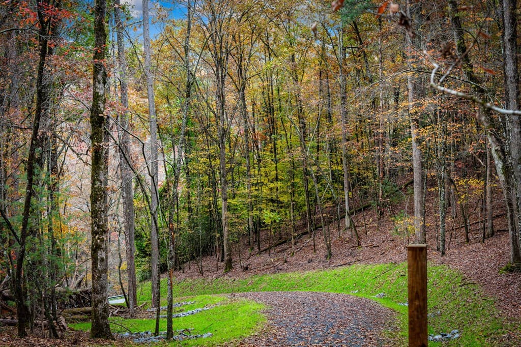 1580 Galloway Road, Blue Ridge GA 30513 - Photo