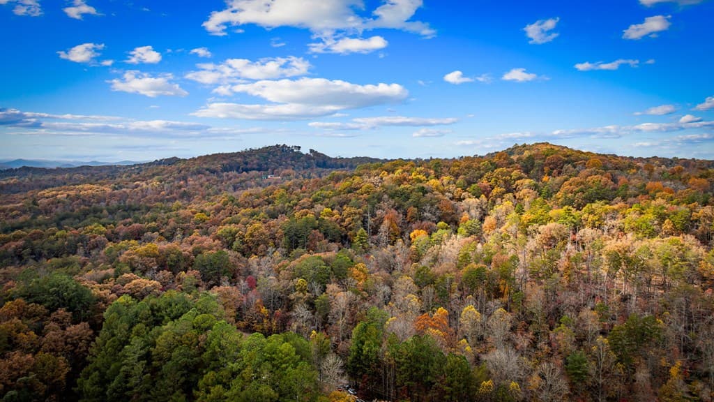 1580 Galloway Road, Blue Ridge GA 30513 - Photo