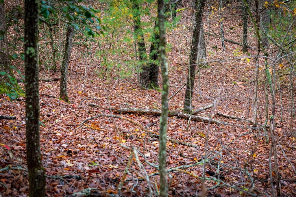 1580 Galloway Road, Blue Ridge GA 30513 - Photo