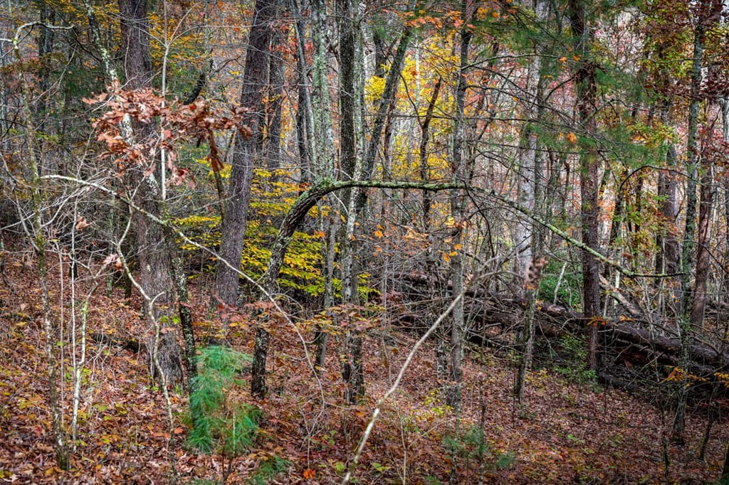 1580 Galloway Road, Blue Ridge GA 30513 - Photo