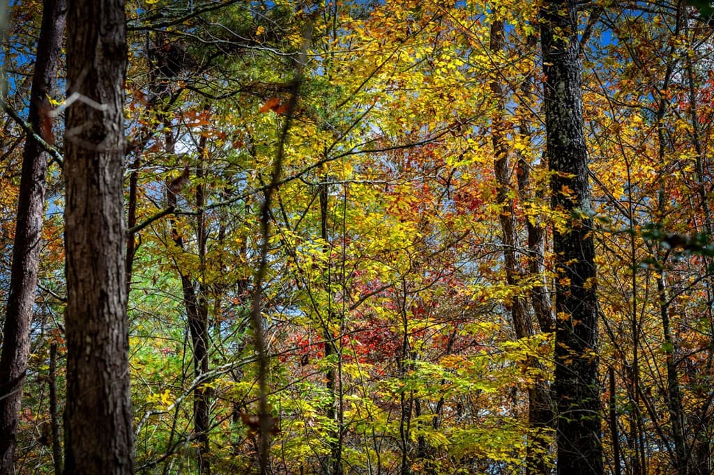 1580 Galloway Road, Blue Ridge GA 30513 - Photo