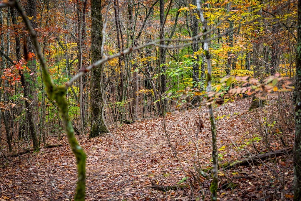 1580 Galloway Road, Blue Ridge GA 30513 - Photo