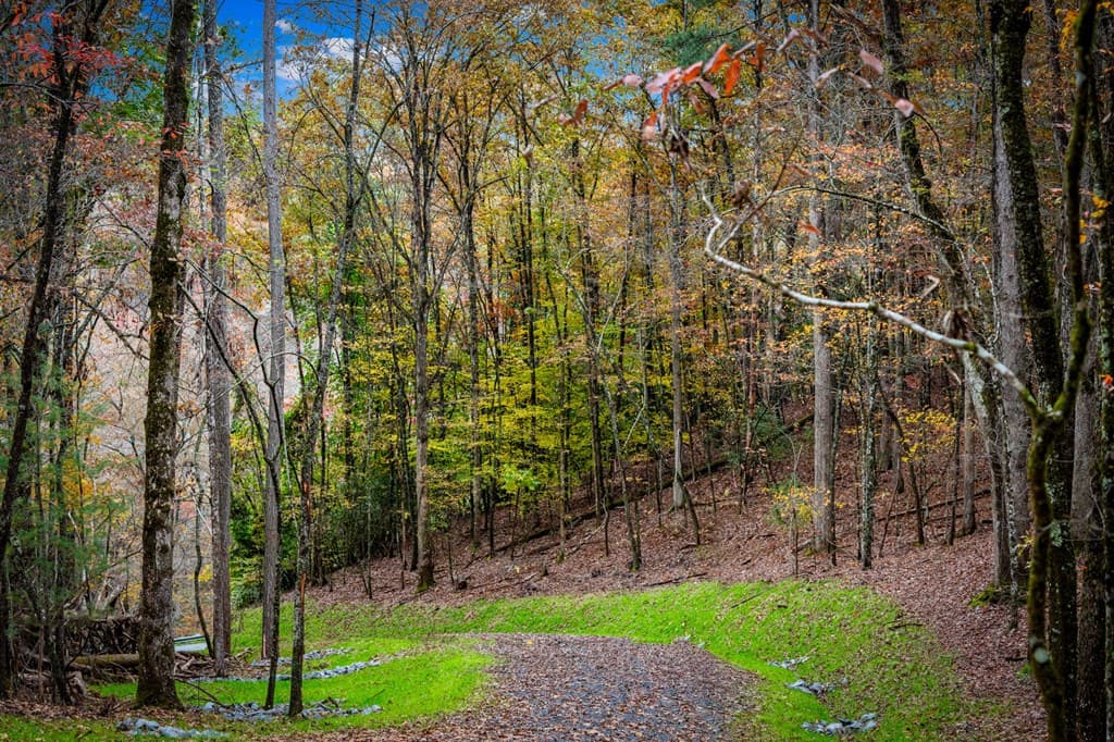 1580 Galloway Road, Blue Ridge GA 30513 - Photo