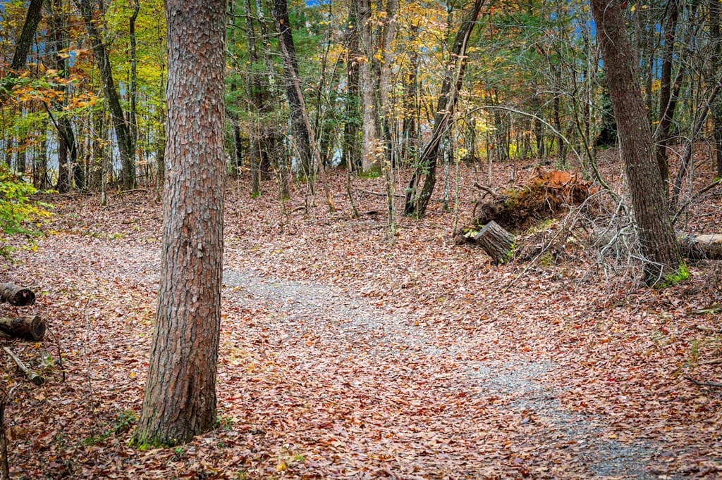 1580 Galloway Road, Blue Ridge GA 30513 - Photo