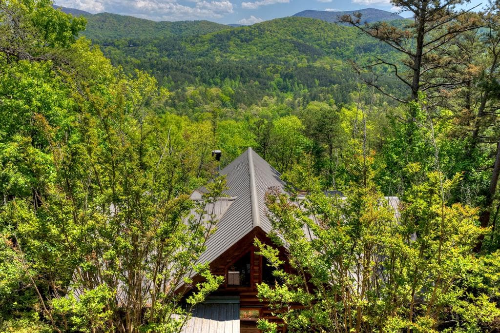 146 Rosiey Lane, Blue Ridge GA 30513 - Photo